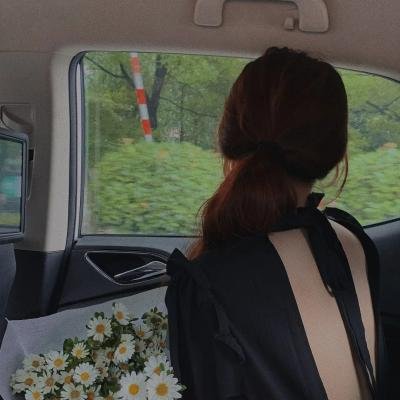 格桑花开的时候