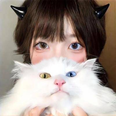 相思光年