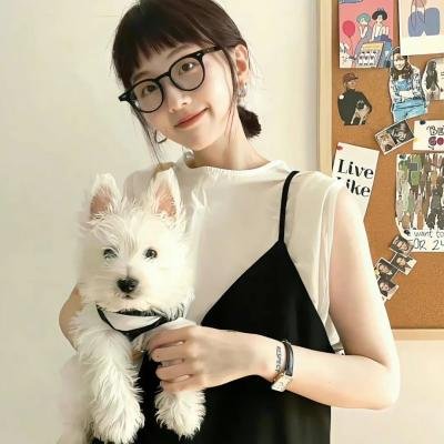 纽约小匪战黑帮